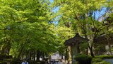 永平寺