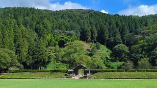 PHOTO 一乗谷城跡#1