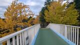 三ツ沢公園