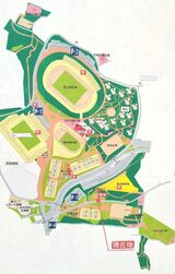 三ツ沢公園