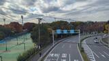 三ツ沢公園