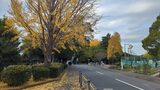 三ツ沢公園