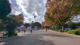 三ツ沢公園