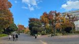 三ツ沢公園