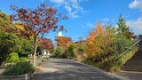 三ツ沢公園
