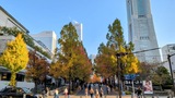 グランモール公園