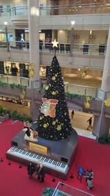 ランドマークタワー・69階展望フロア