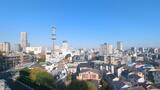 野毛山公園展望台