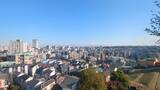 野毛山公園展望台