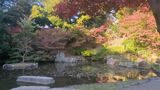 野毛山公園