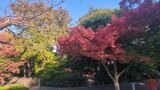 野毛山公園