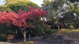 野毛山公園