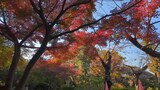 野毛山公園