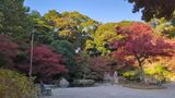 野毛山公園