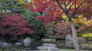 PHOTO 野毛山公園#5