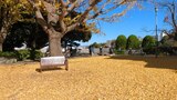 ブラフ18番館