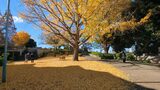 ブラフ18番館