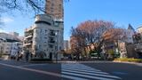 ドラード和世陀