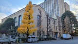 會津八一記念博物館