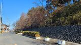 佐野城跡(城山公園)
