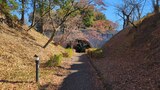佐野城跡(城山公園)
