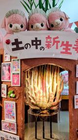 岩下の新生姜ミュージアム