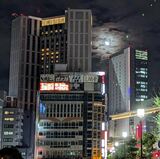 パルナード通り