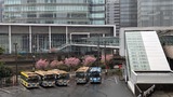 日産グローバル本社ギャラリー