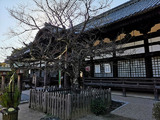 誉田八幡宮