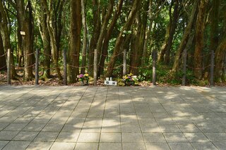 PHOTO 阿武山古墳#1