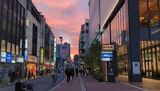 パルナード通り