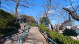 掃部山公園