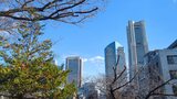 掃部山公園