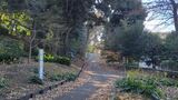 掃部山公園