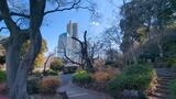 掃部山公園