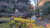 掃部山公園
