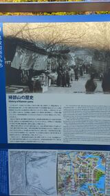 掃部山公園
