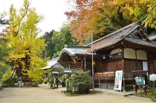 PHOTO 葛城一言主神社#1