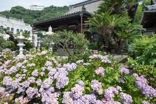 PHOTO 持光寺#1