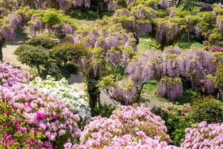 PHOTO 千光寺公園#2