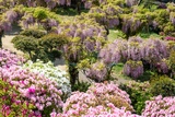 千光寺公園