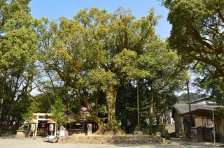 PHOTO 青井阿蘇神社#4