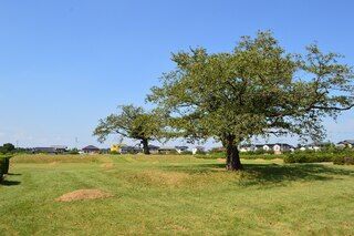 PHOTO 常陸国分尼寺跡#2