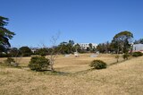遠江国分寺跡