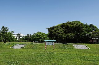 PHOTO 遠江国分寺跡#1