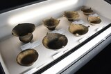 茅野市尖石縄文考古館