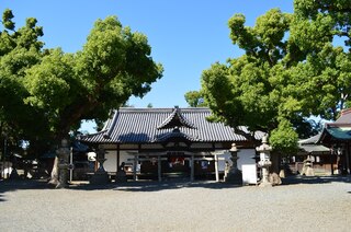 PHOTO 泉穴師神社#1