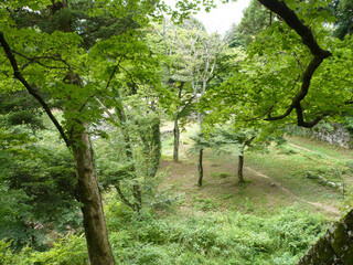 PHOTO 高取城跡#2