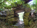 観音寺城跡