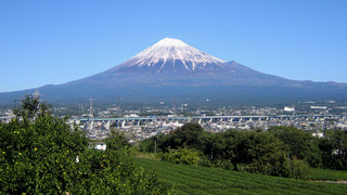 PHOTO 岩本山公園#2